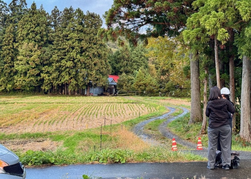 😱从未见过熊的村庄…各地突发伤亡！