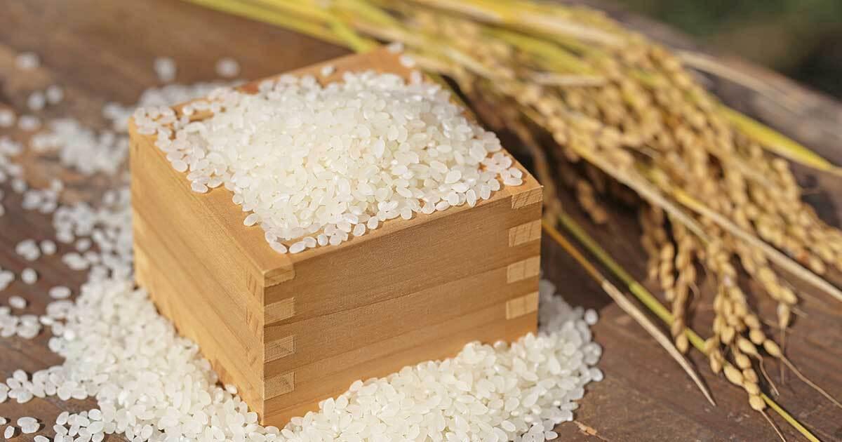 🍚米价高涨！农相“怼”名嘴，补贴却被坑？