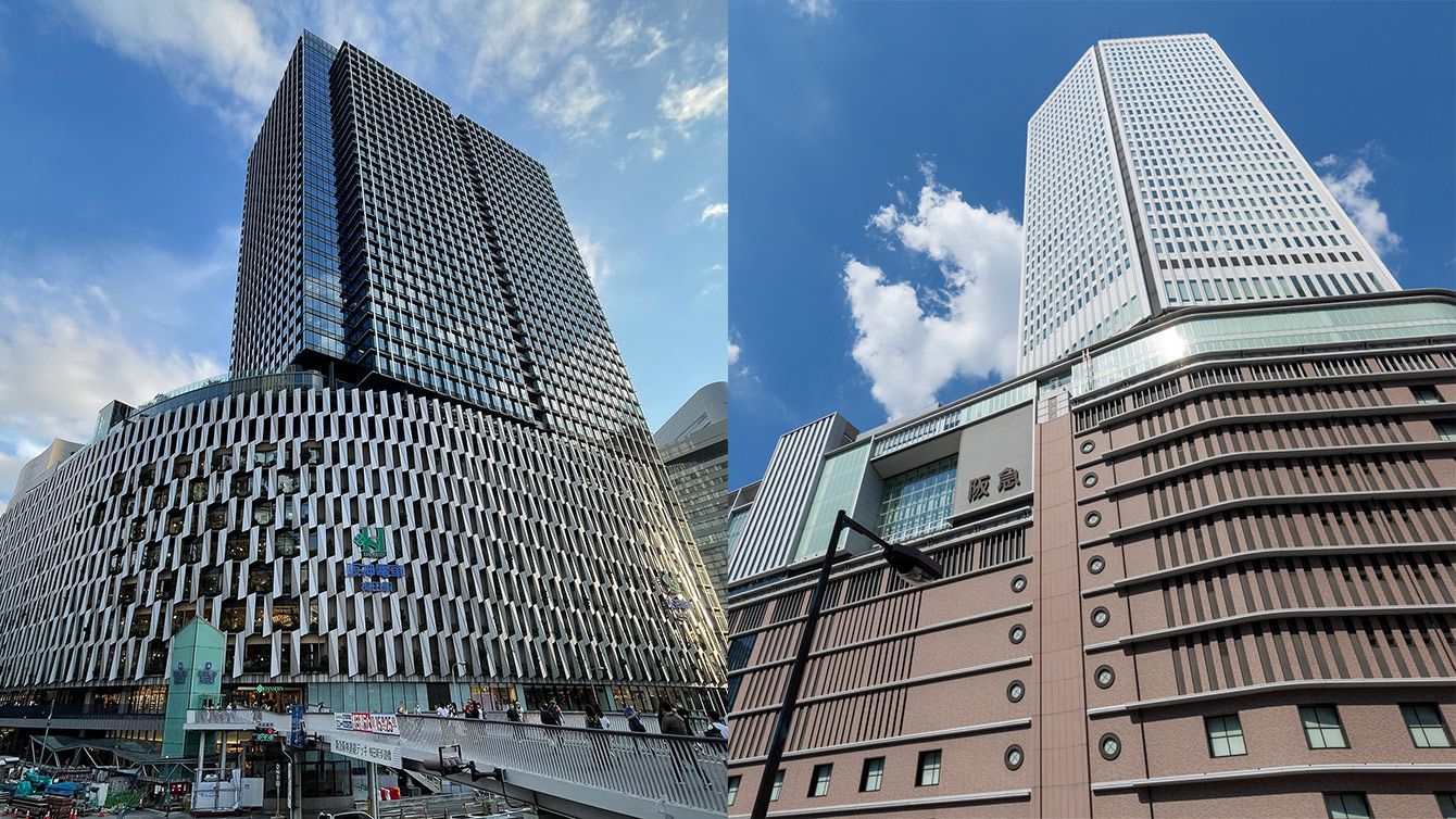 🎉阪神夺冠狂欢，唯独它冷静！逆袭之路的秘密！