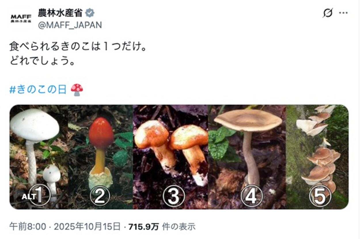 🍄 认准这一朵!否则…命悬一线!