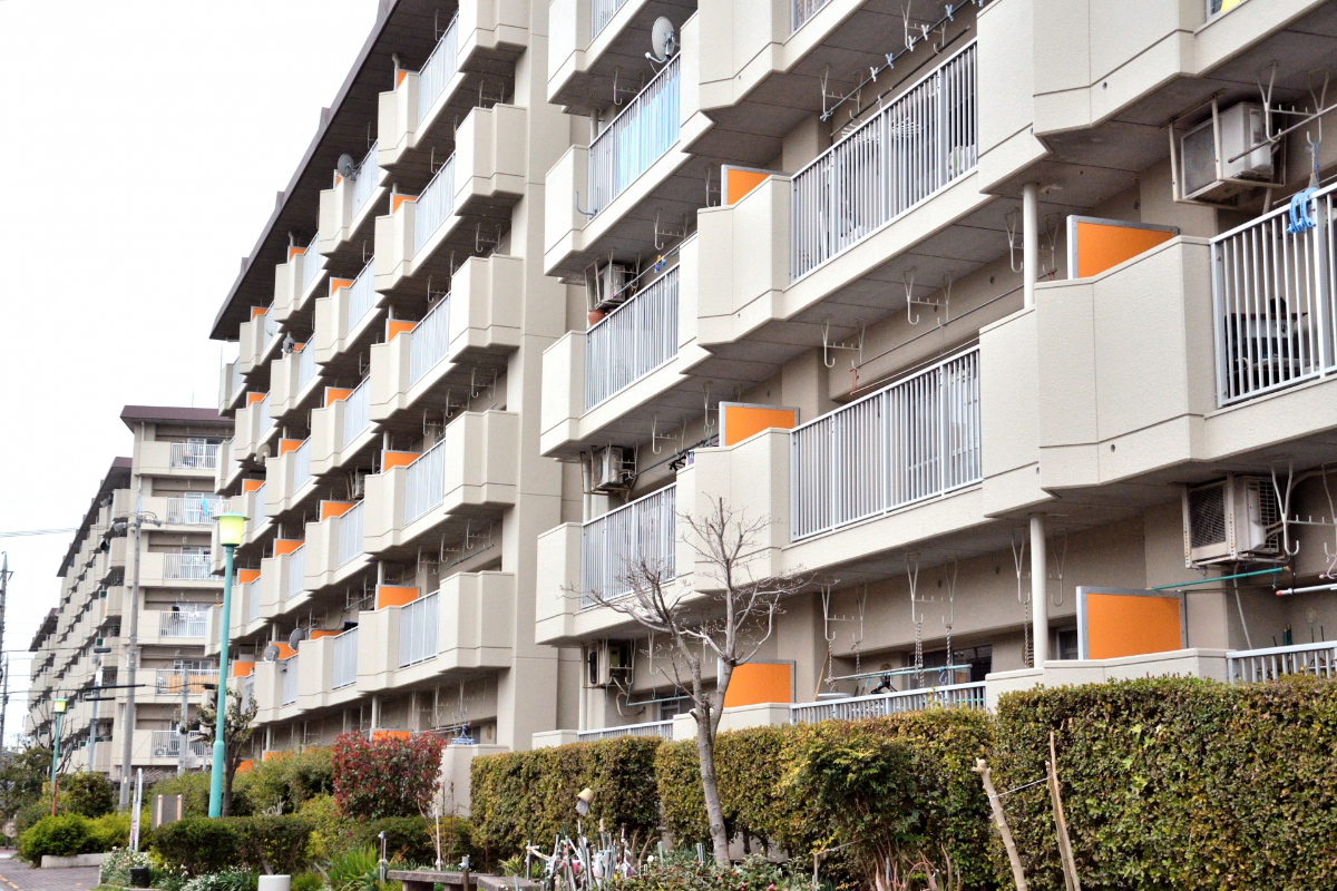 🏠月租8千!单身也能住公房?(神奈川)