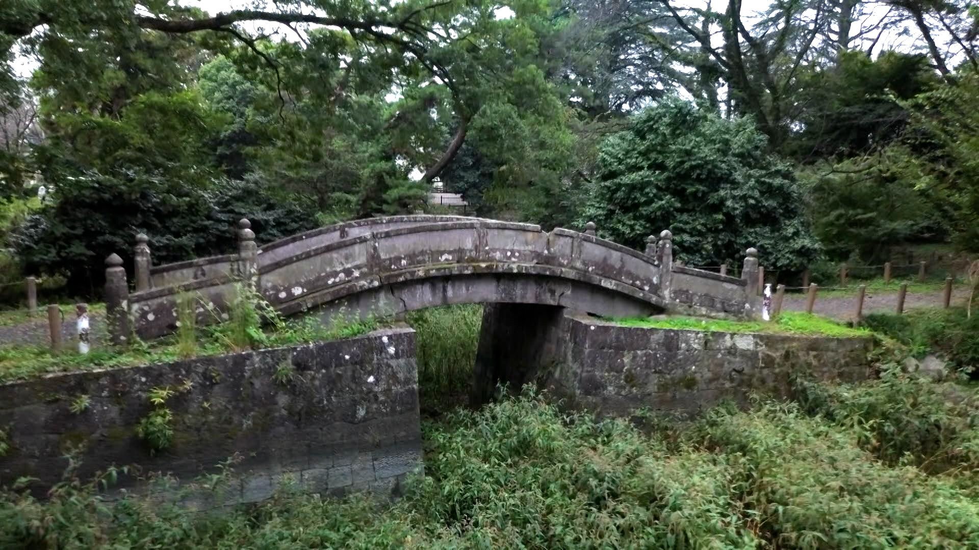 😱寺庙荒废成丛林！住持震怒，官方道歉也无济于事！