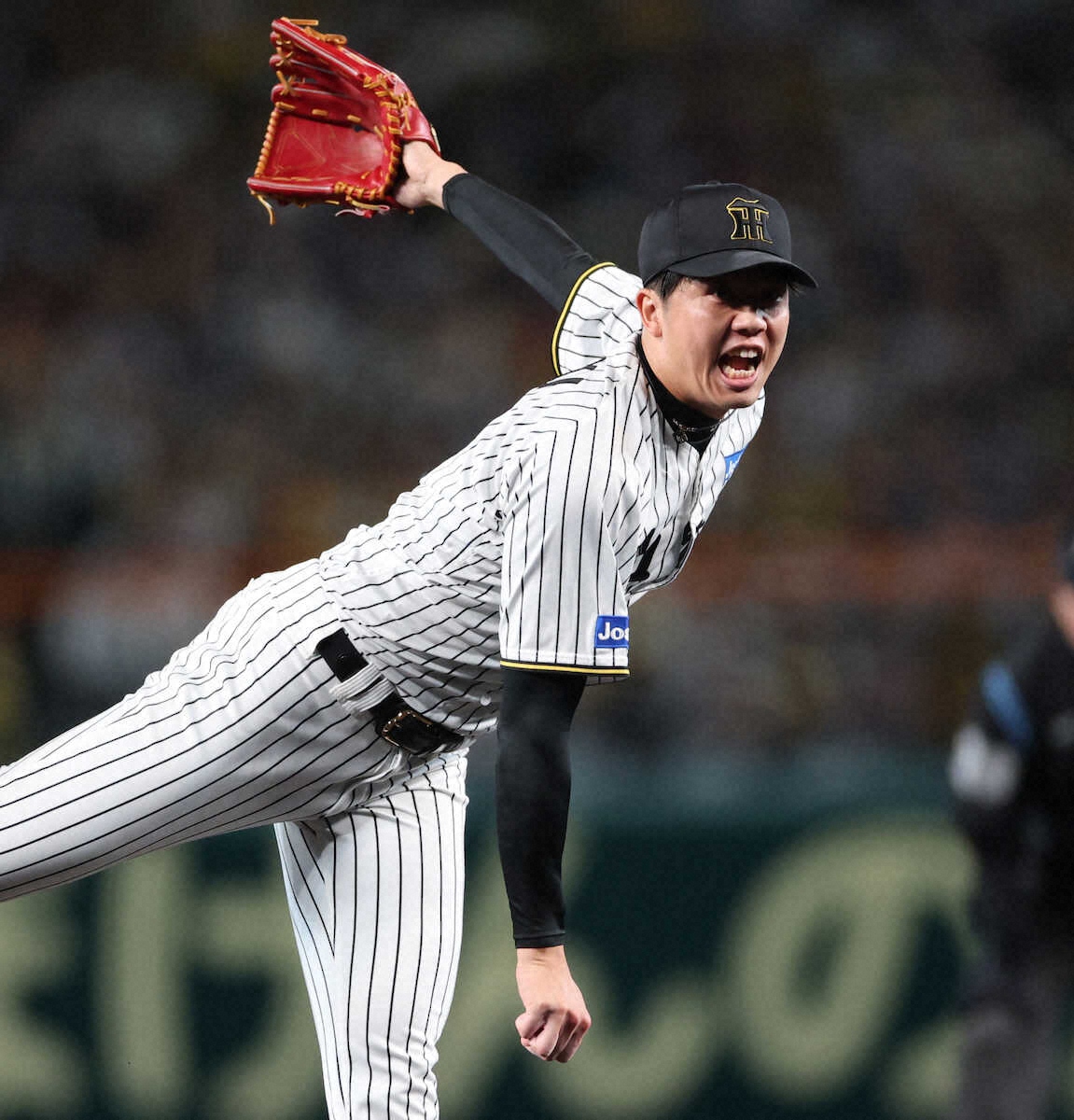 💥阪神：才木浩人，不放人！铁了心！