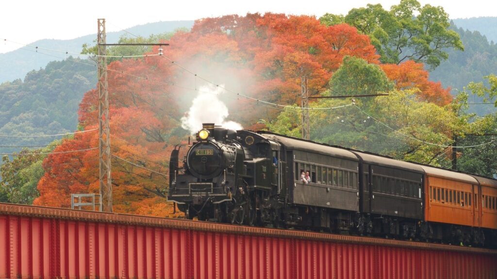 🚂 铁道迷注意！会员卡变数字了，惊喜掉落！