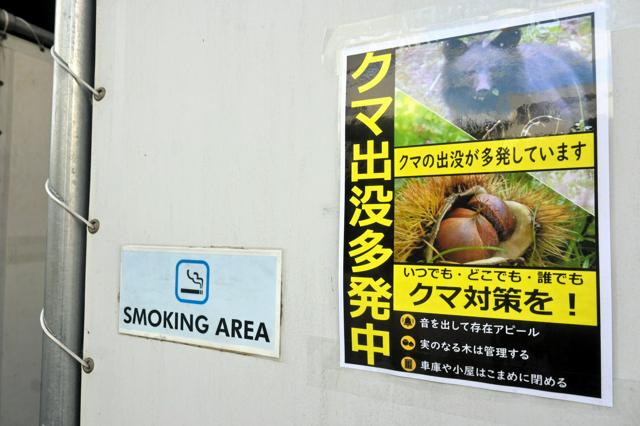 🚨秋田熊患：自卫队出动？情况已超乎控制！