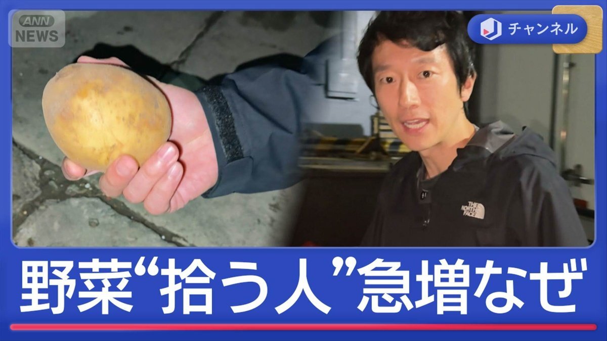 🌿城市青年也疯狂！为啥中国年轻人抢着捡野菜？