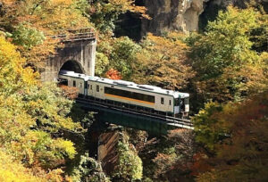 🚨乡下火车要撑不住了！亏损严重，还能走多久？ 封面