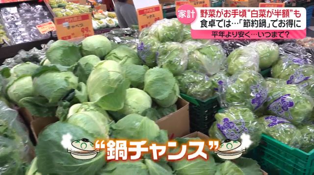 🥬 白菜、生菜…便宜到哭！还能便宜多久？