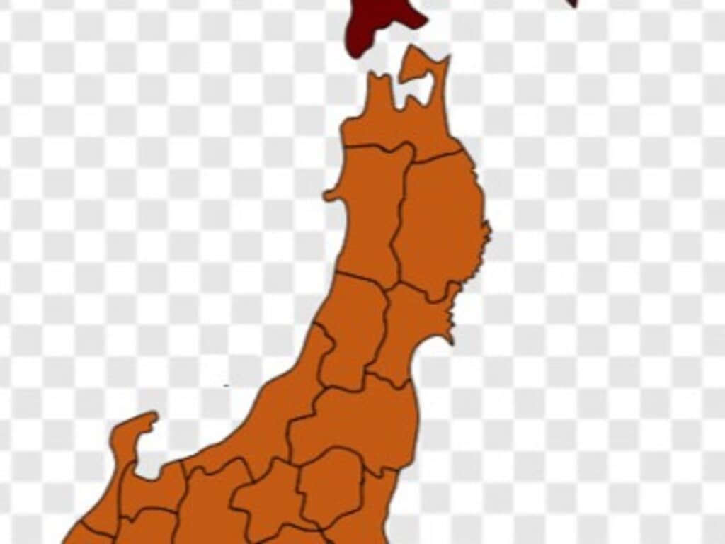🐻️ 熊出没地大揭秘!结果惊呆了!😱