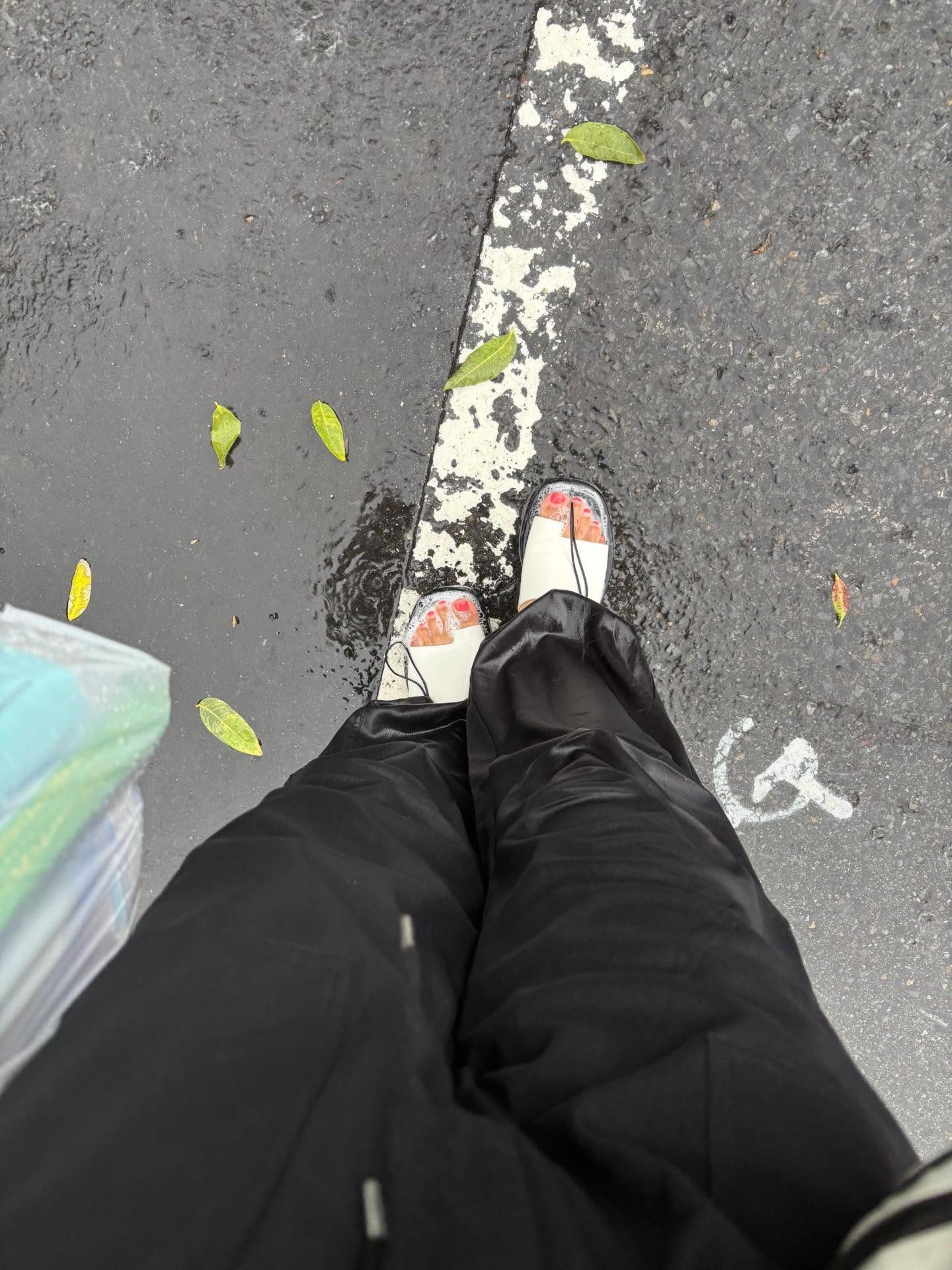 ☔️脚下惊现奇景!大雨中她笑喷了…😱