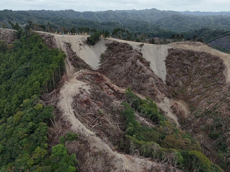 🌲大惊！太阳能发电站偷砍森林，政府都坐不住了！