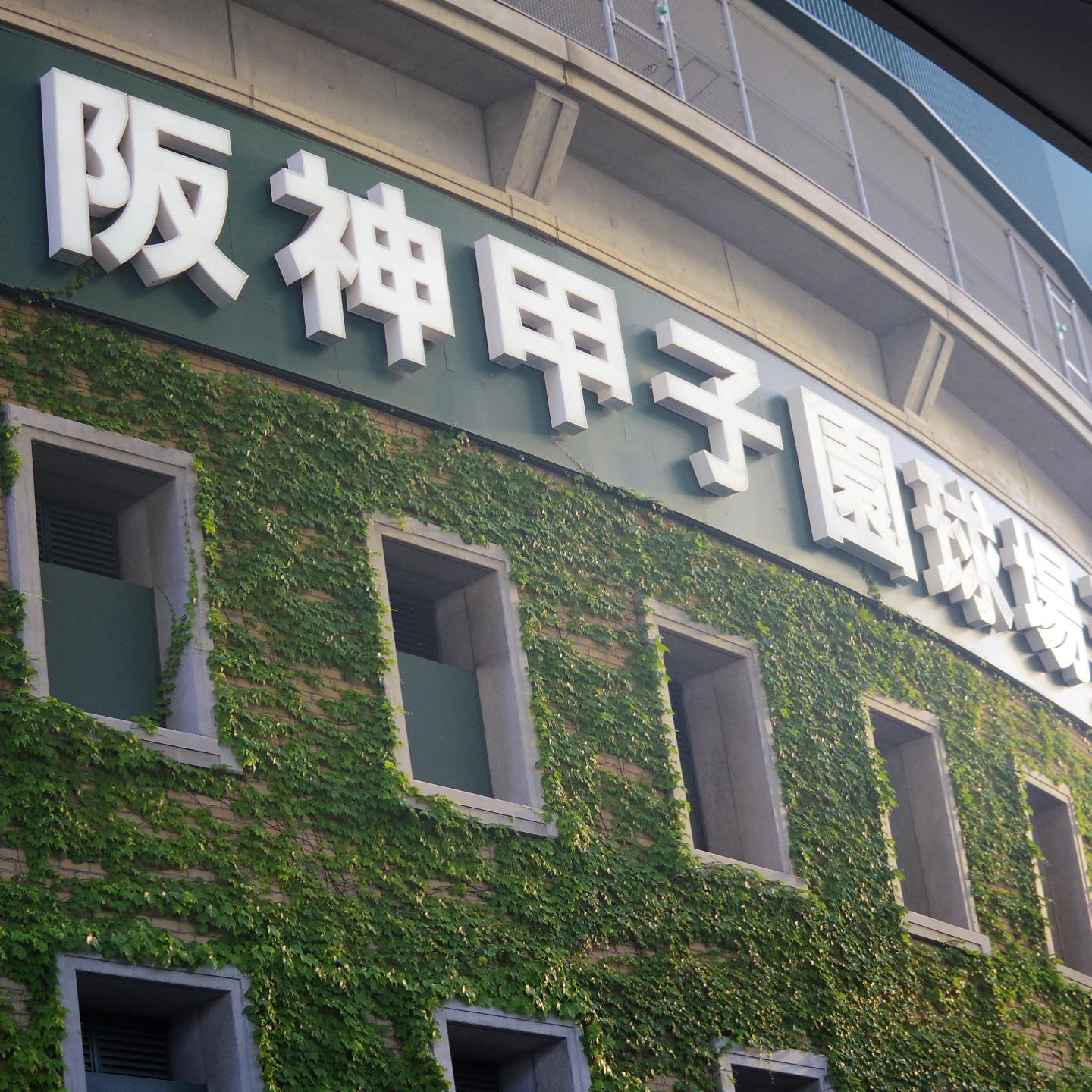 💥阪神夺冠梦碎！教练：输球方式不对，太让人窝囊！