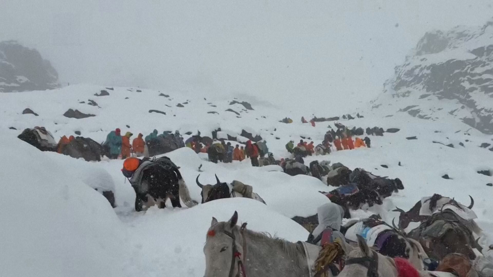❄️ 绝望雪山:珠穆朗玛峰大本营,数百中国人被困!