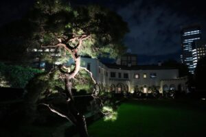 💥特朗普：汽车、大米进口？我高兴坏了！ 封面