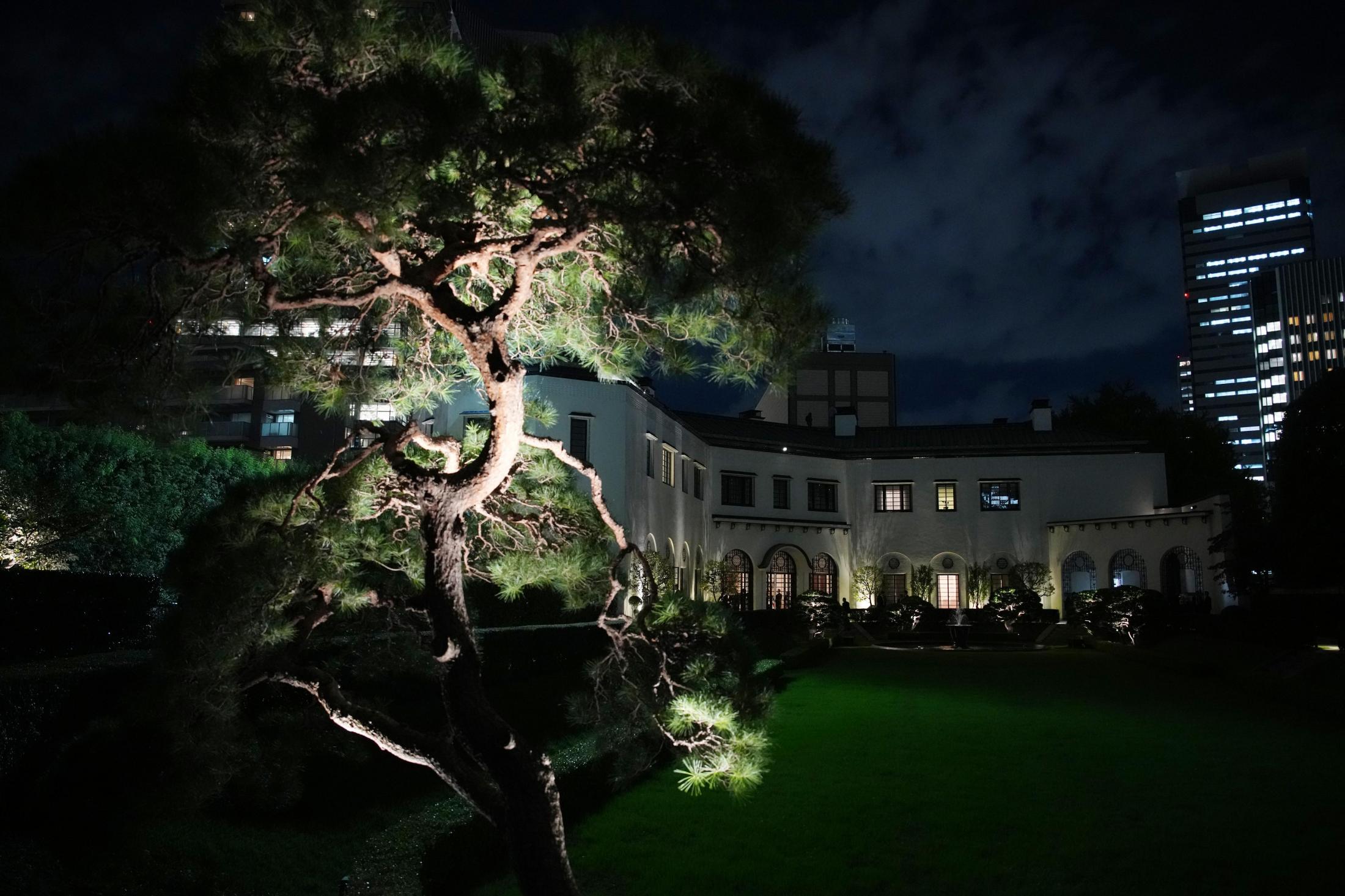 💥特朗普：汽车、大米进口？我高兴坏了！