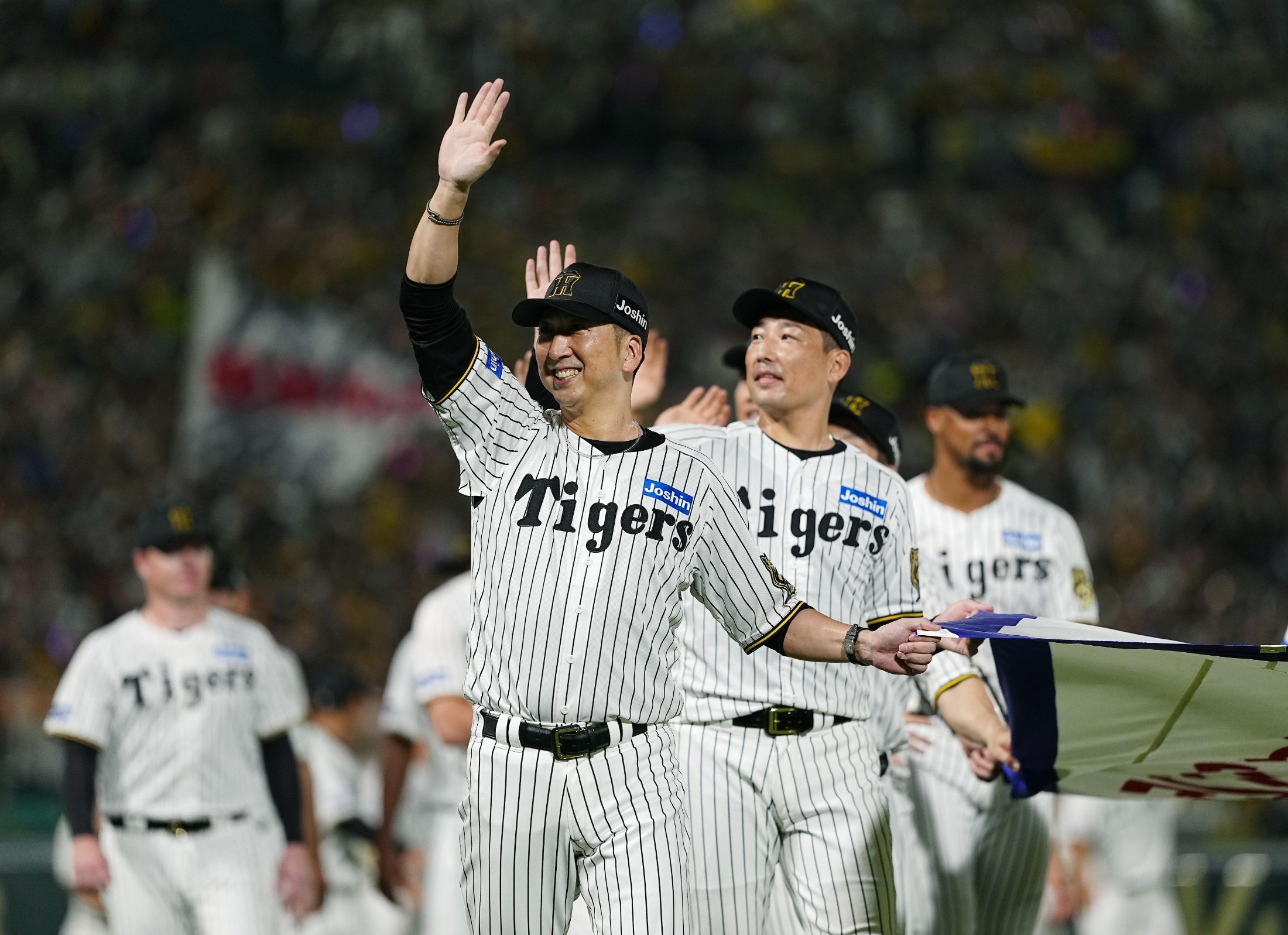 💥阪神痛失!输了就大改!制度太偏心,撑不住了!