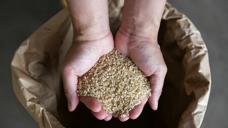 🌾🍚别了,小麦玉米!唯有稻米,才是咱中国人的命!