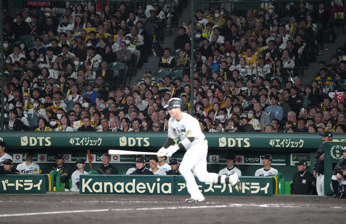 🔥阪神连败！佐藤辉打点也救不了，甲子园球迷都叹气了…