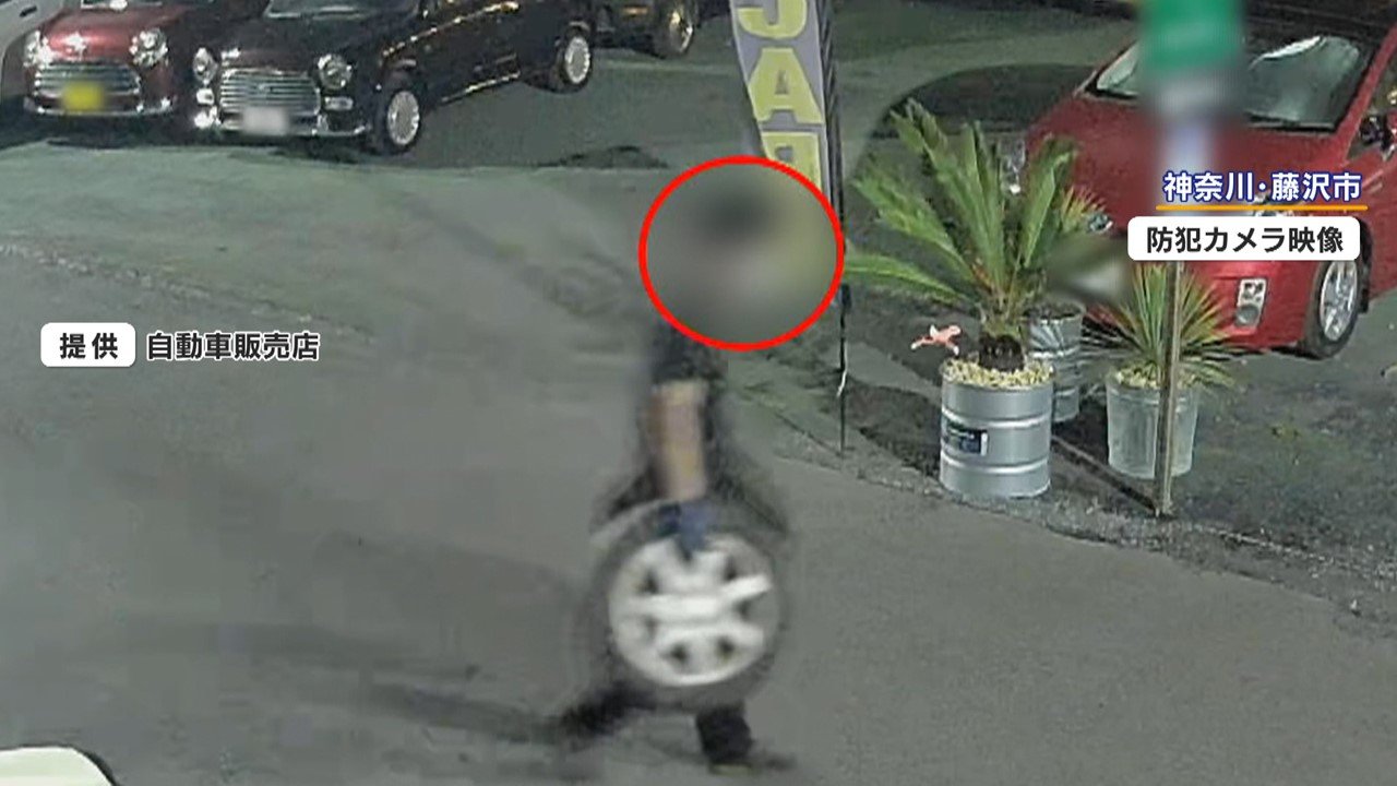 🚨轮胎被偷了!猖獗盗窃,竟与法律修改有关?