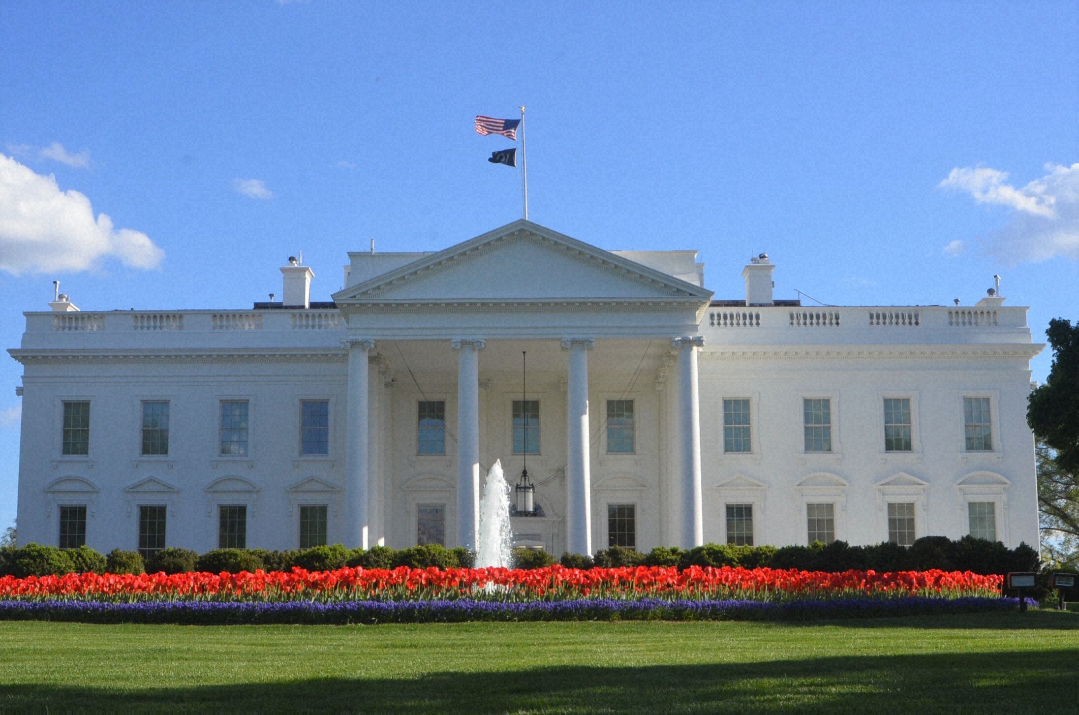 💥白宫:诺贝尔奖,和平是假象,政治是真!