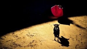 💥美中峰会定！比特币、欧洲股市飙升！ 封面