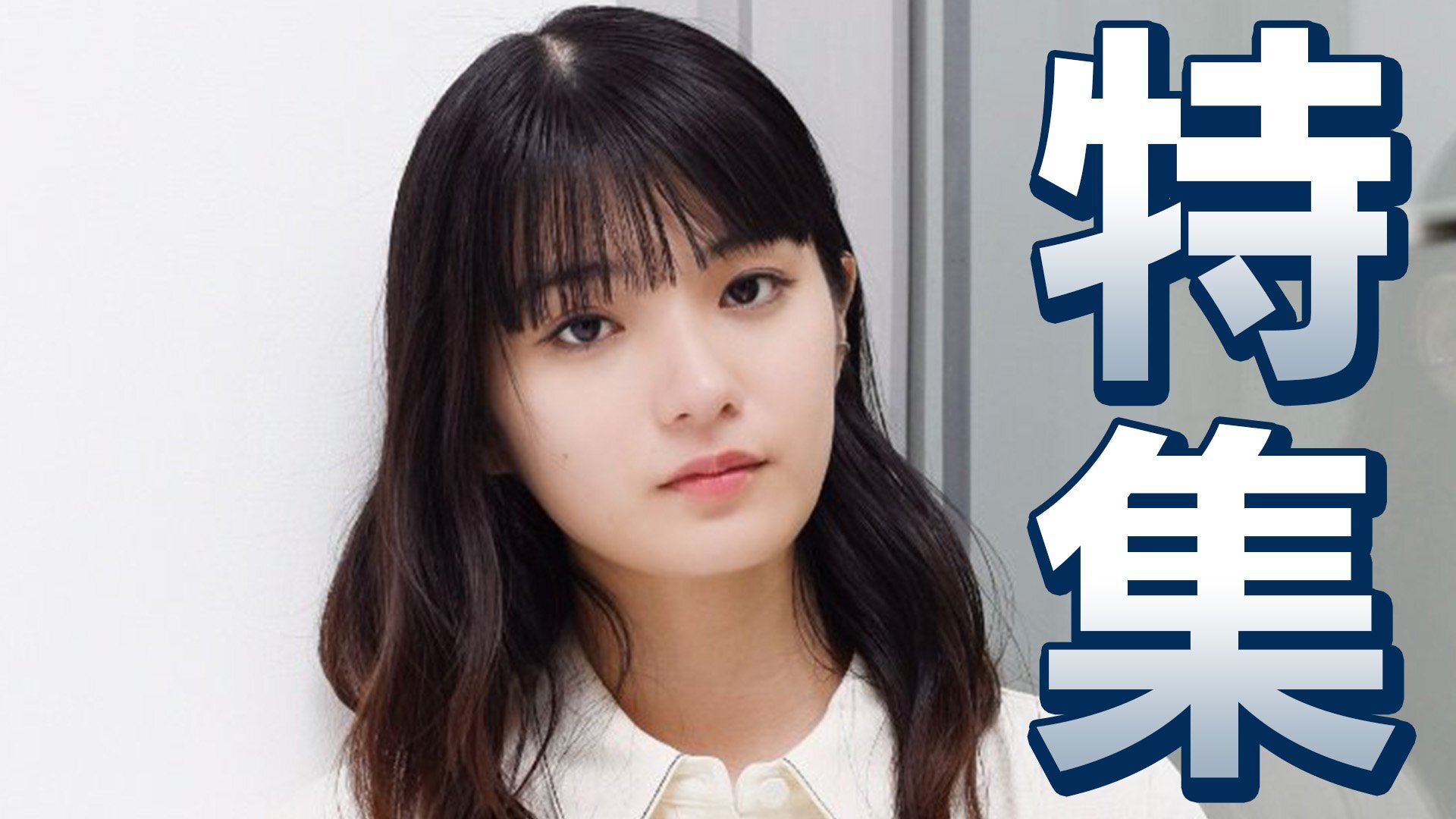 🐱爆红女星:被猫治愈的超忙生活!