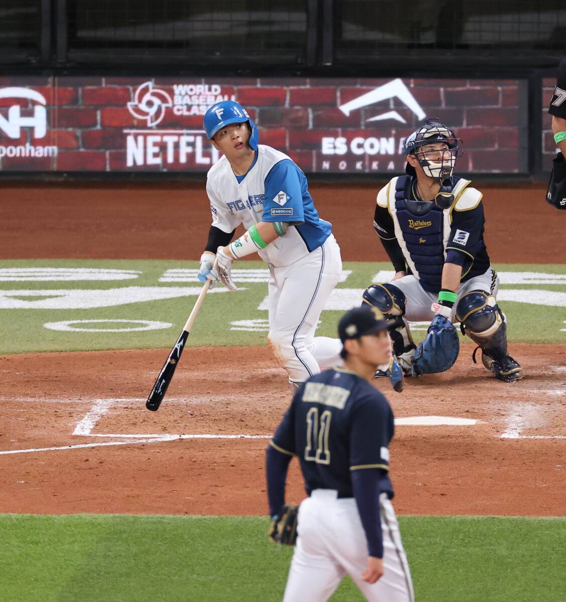 🔥绝境反击！阪神猛虎，悬崖边缘，能否逆袭？