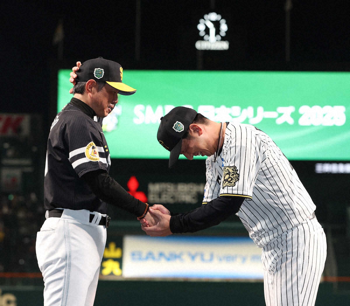 🔥输了也坦然!阪神藤川:没遗憾,找到方向!