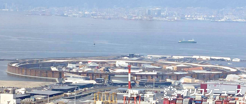 🗺️ 完结撒花！地图大师的谢幕，感谢有你！