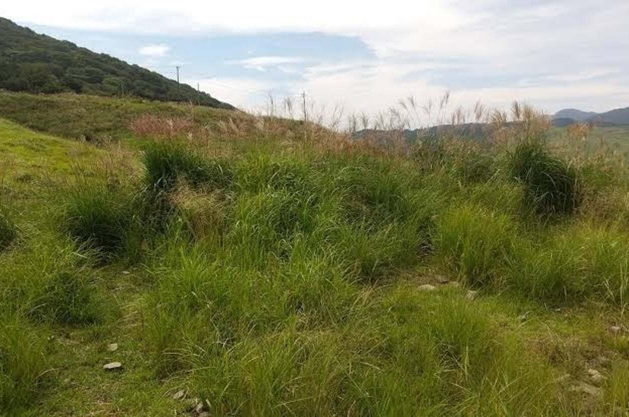 🔍自卫队藏哪儿?这谜题绝了!🤯 答案出人意料!