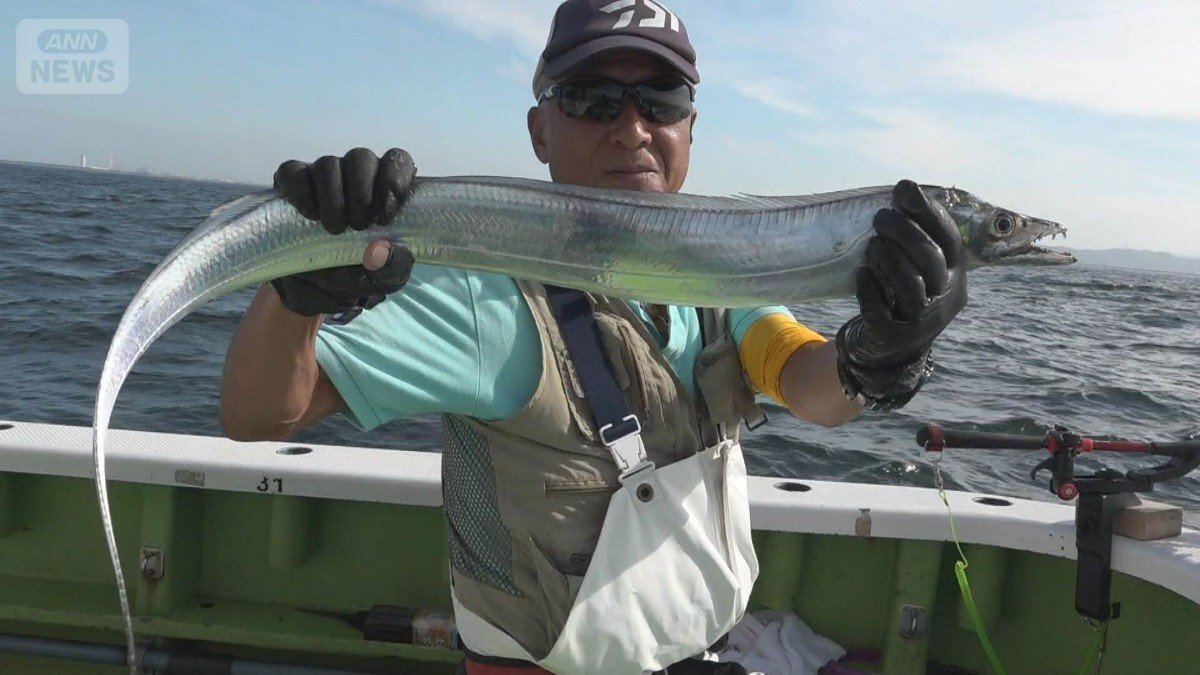🎣东京湾银鱼爆钓！巨物惊现，钱包笑了！