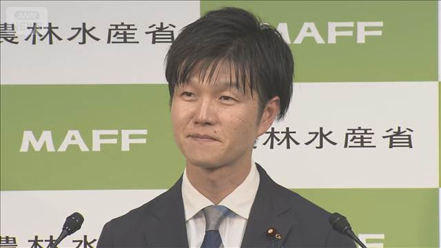 🍚米券救命！高价时代，咱也要吃饱！