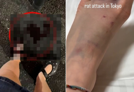 🐭东京街头惊魂!旅途变血途…