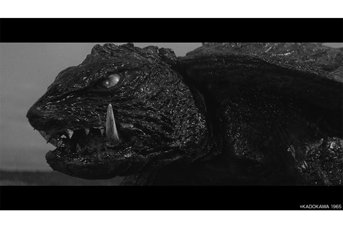 💥怪兽伽玛60岁啦!修复秘闻,今晚8:33锁定BS12!