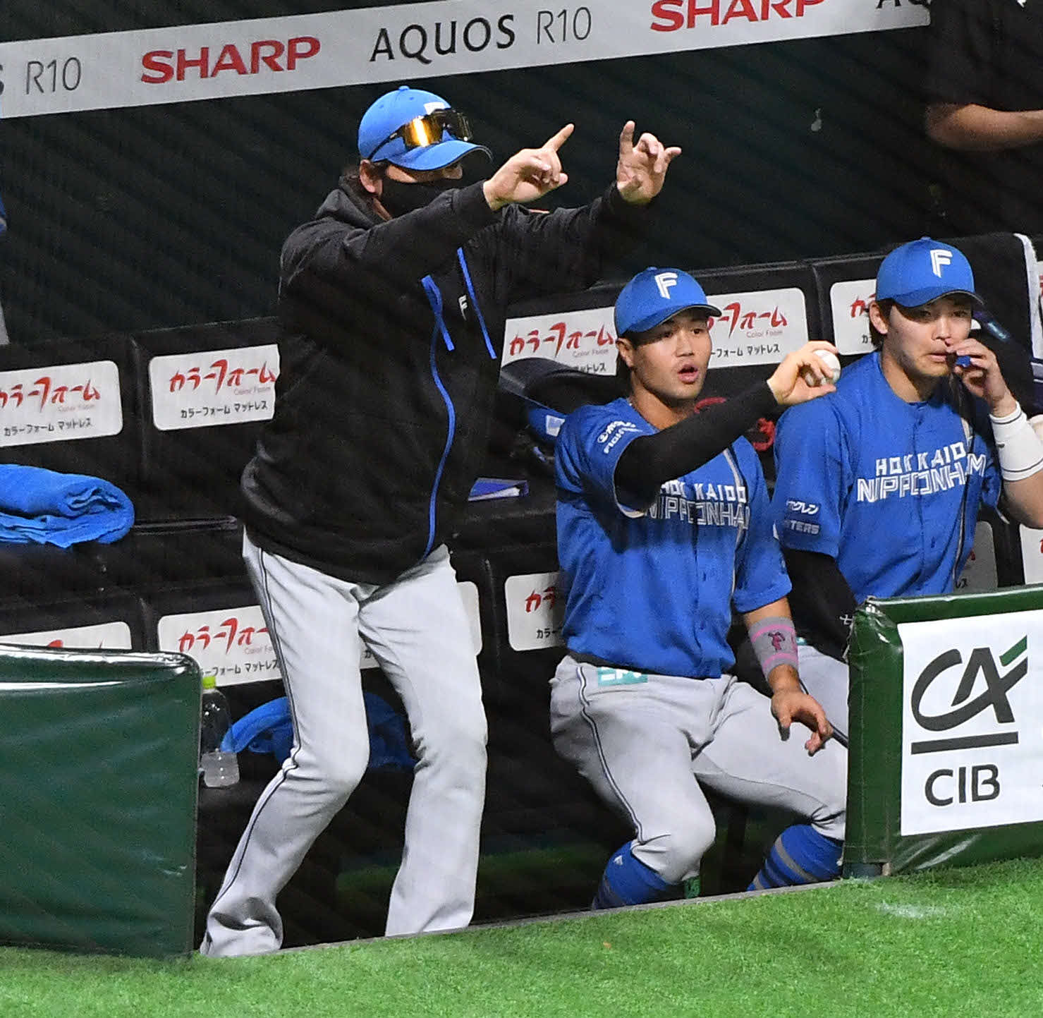 💥新庄教练：别想二名！我才不看日本大赛！