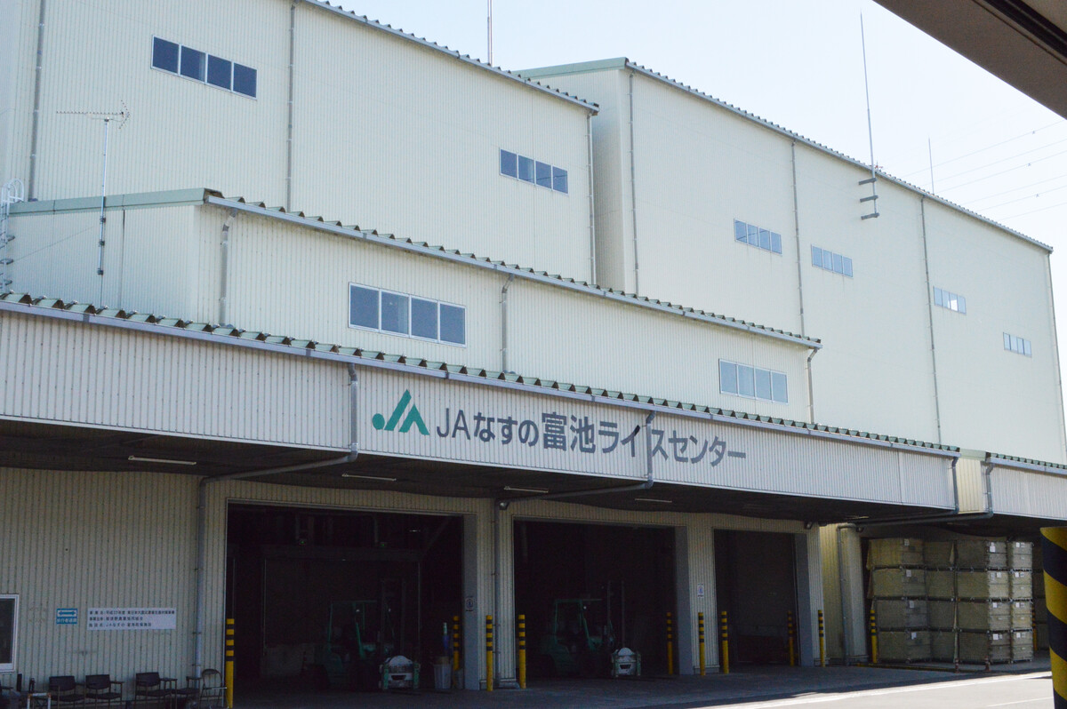 🌾米价暴涨！农民喜，你钱包空？