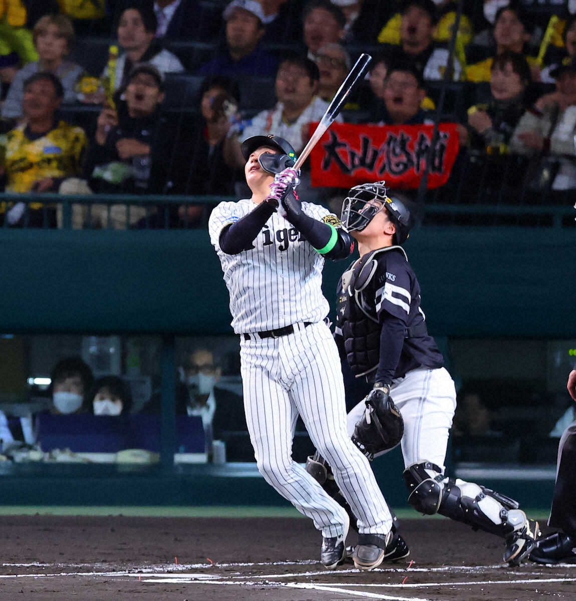 🔥大山0打率?别慌!虎迷呐喊:明日他就是英雄!