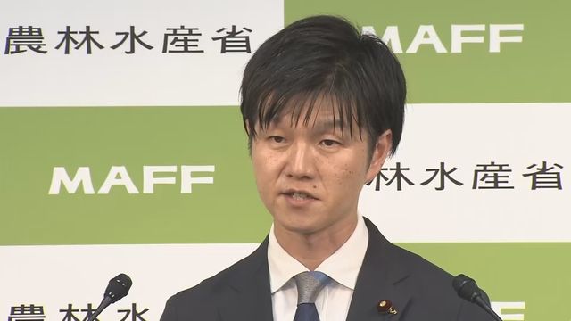 🍚 救命稻草？日本新补贴：米券来啦！