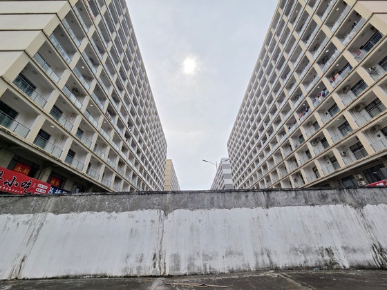 🚨柬埔寨留学生惊呼：中国城变“犯罪之都”！