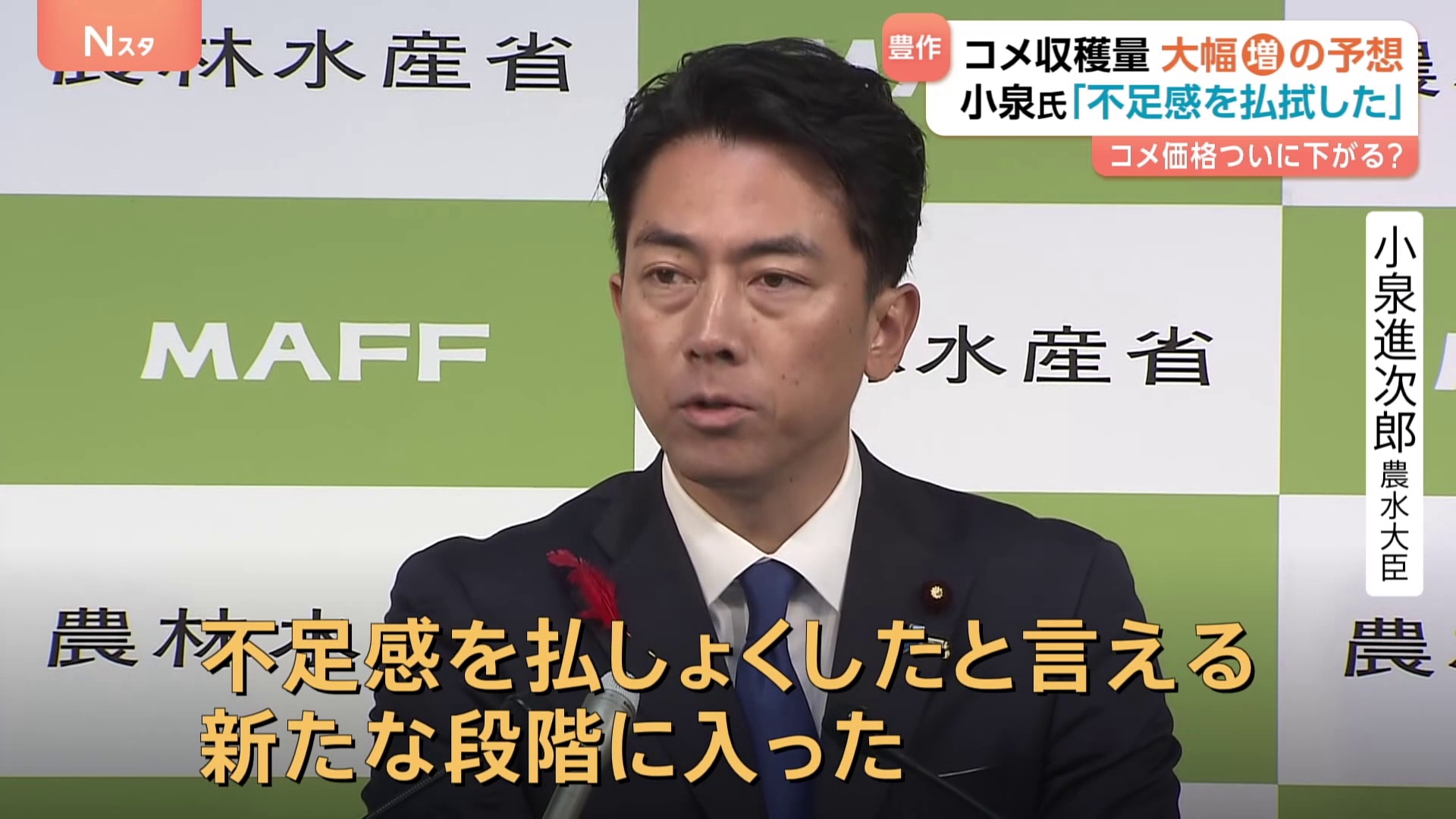 🌾大丰收预警：米价不降反升？竟是“内卷”惹的祸！