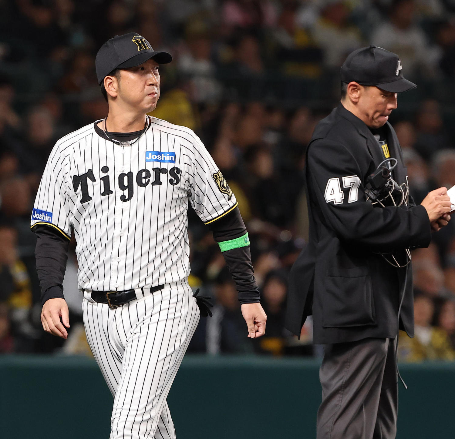 🔥阪神疯了?教练“机关枪”排兵,四人轮流打第六棒!