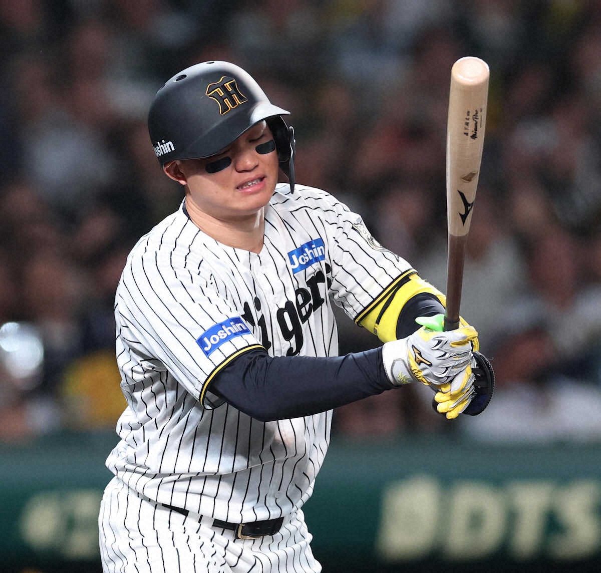 🔥阪神：痛失冠军，沦为独一档的耻辱！