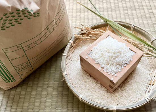 🍚老米滞销，新米飞涨！米价“双标”，谁来救钱包？