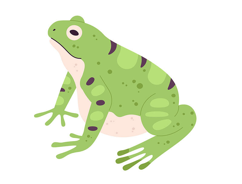 🐸 82岁奶奶喝了8只活蛙，竟是为了…！