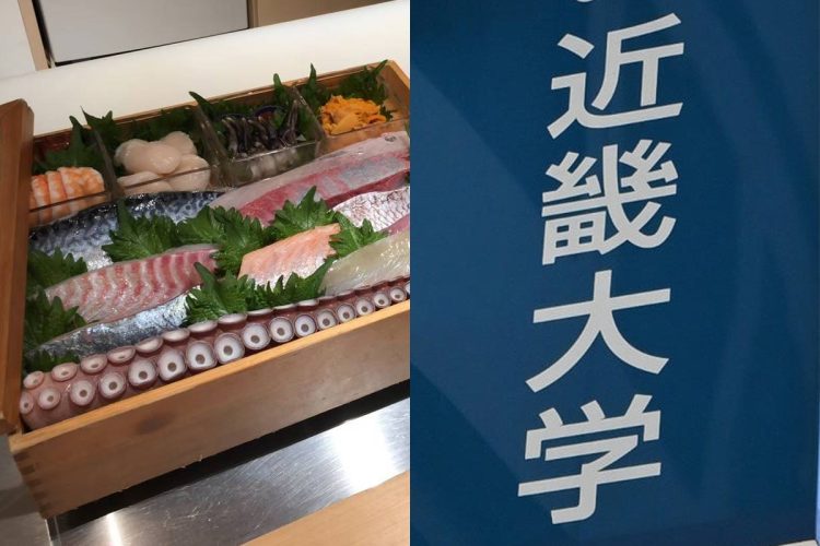 🍣学生吃不起！近大“网红金枪鱼”，只对“有门路”的人开放？