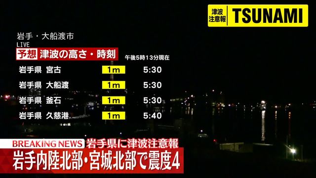 🌊 警报！海啸来袭，请立刻撤离！