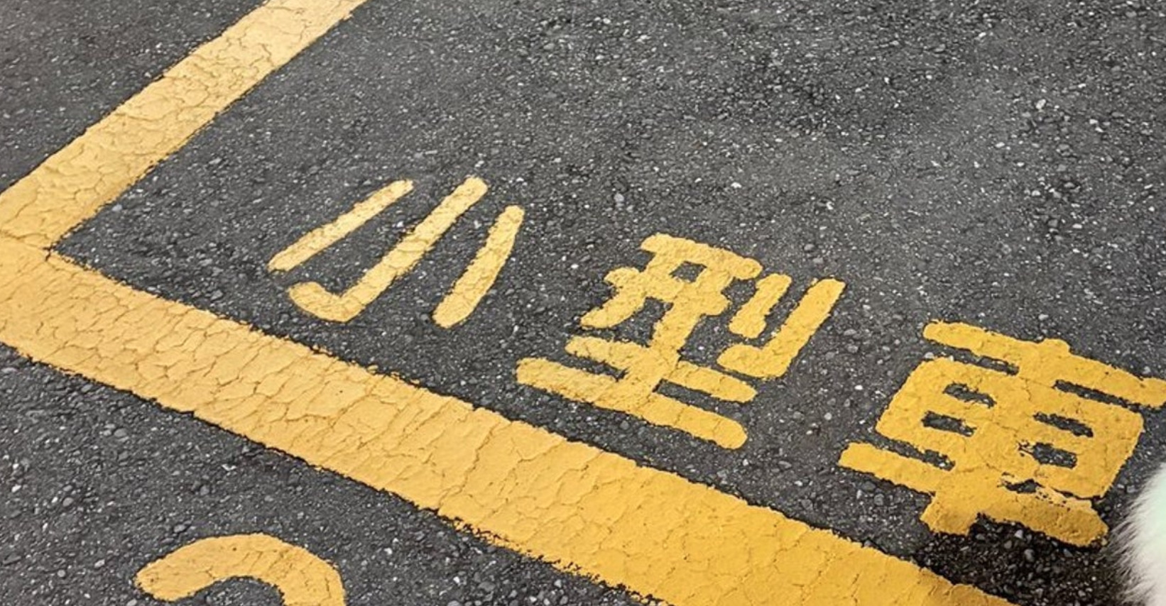 🐶萌翻了！小狗“完美停车”，这技术绝了！