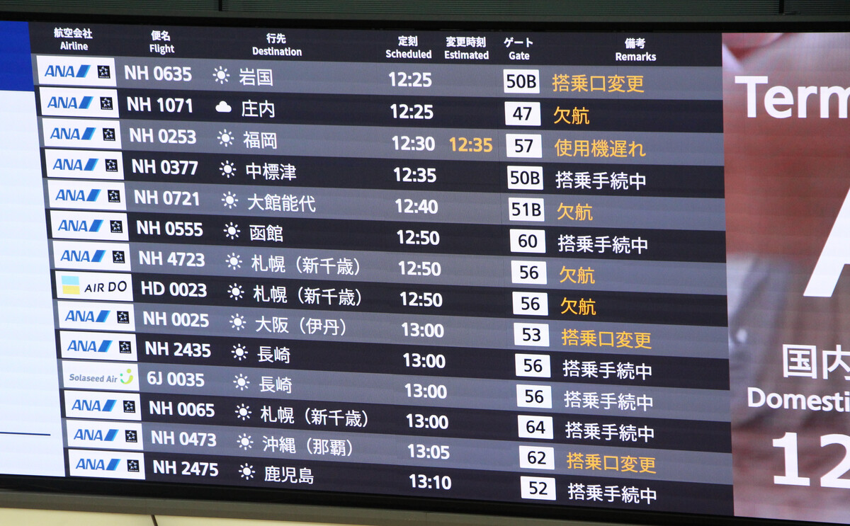 ✈️ 葬礼来不及了！羽田航班突停，旅客急着回家！