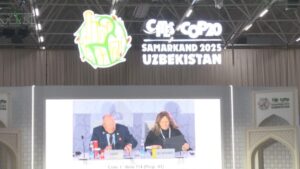 🐟鳗鱼保住了！日本力阻国际禁运，吃货们欢呼！ 封面