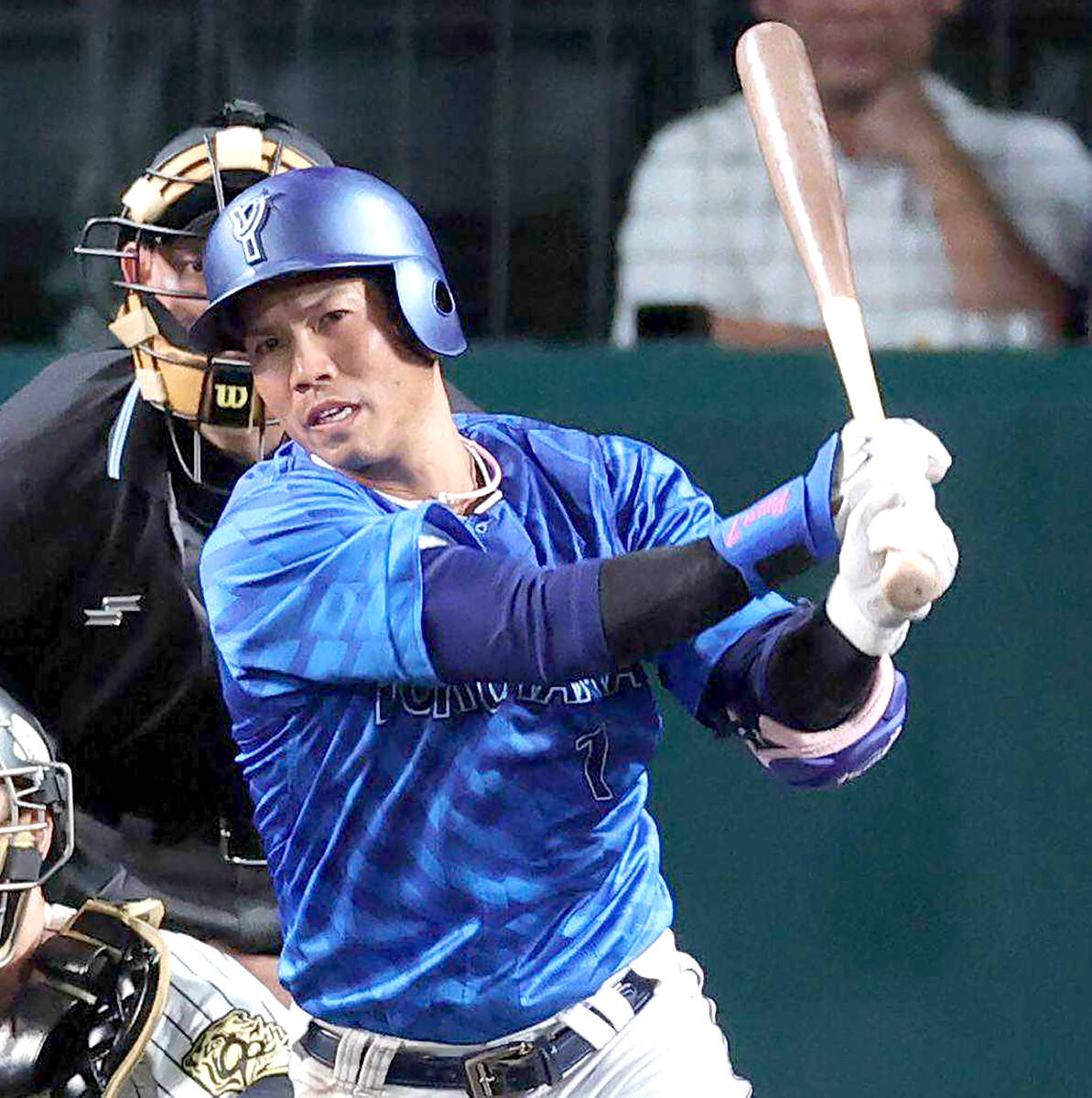 ⚾️桑原不来！关根顶上，粉丝心碎了！